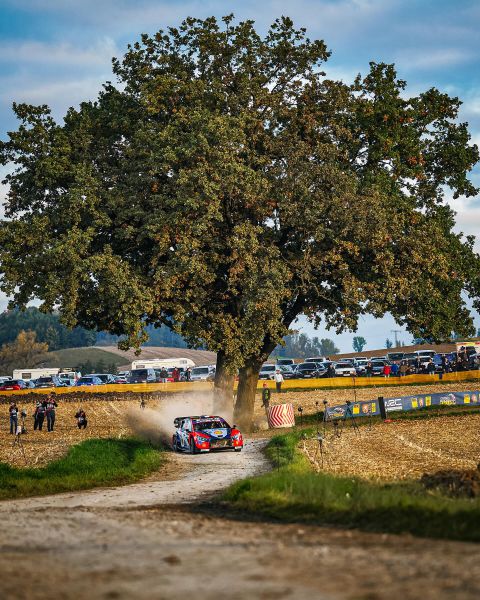 Hyundai Motorsport @ FIA WRC Central European Rally 2025 Foto 3